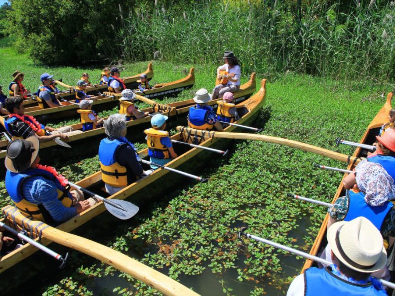 pirogue-mimizan-tourisme-kayak-paddle-allwater